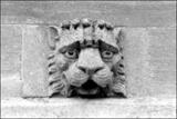 Stone lion face - photo by Laura Morris. www.lama-arts.co.uk